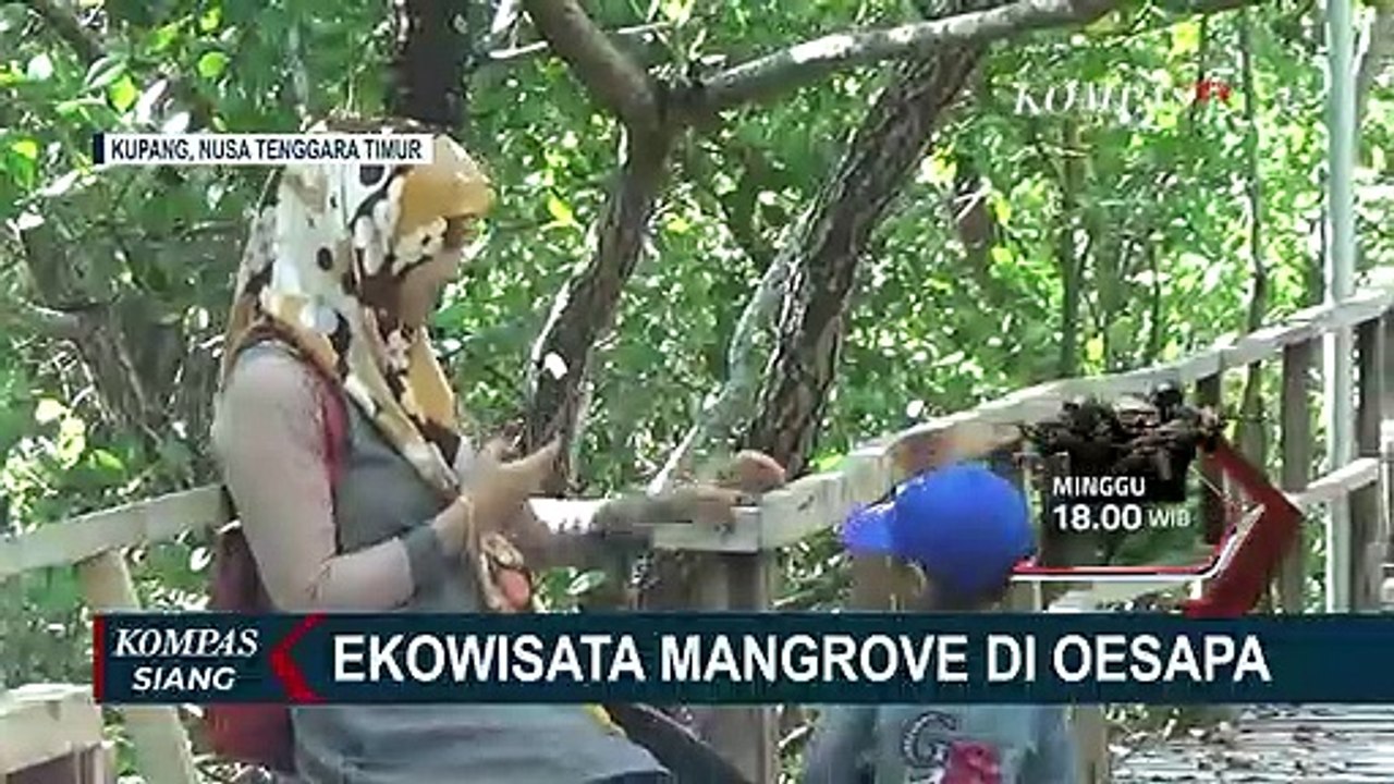 Bukan Hanya Soal Pemandangan, Hutan Mangrove Memiliki Manfaat Besar