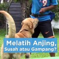 Melatih Anjing, Susah atau Gampang?