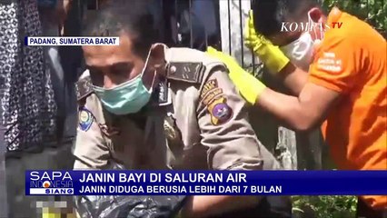 Heboh! Penemuan Janin Bayi Berusia 7 Bulan di Saluran Air