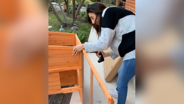 Paz Padilla se fabrica un gallinero para tener huevos ecológicos