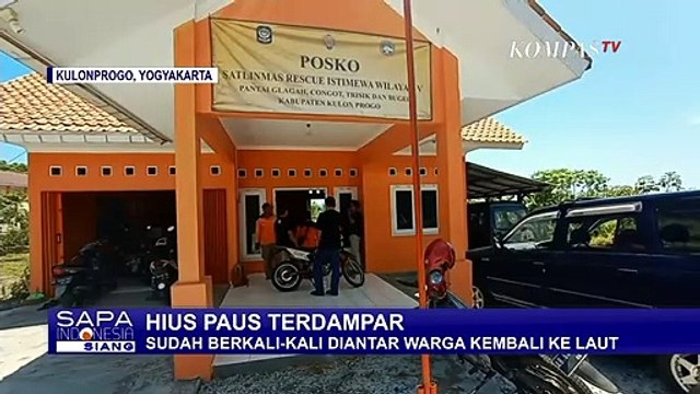 Hiu Paus Terdampar di Pantai Selatan Kulon Progo, Warga Bantu Mengembalikan ke Tengah Laut