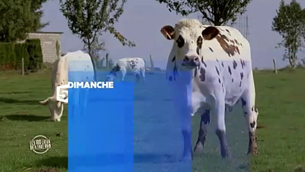 Les 100 lieux qu'il faut voir