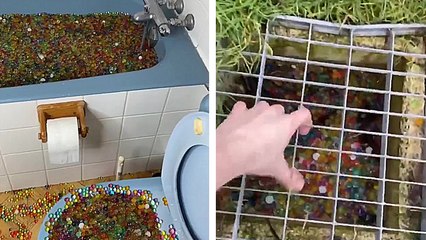 Il bouche les canalisations de sa maison et de son quartier pour des vues sur TikTok