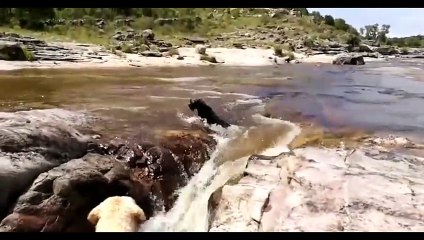 고령추천업소【OI0↔29O8↔68O③】고령추천업소예약♥≍≪