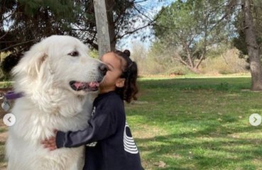 Filha de Kim Kardashian West adora cachorrinhos