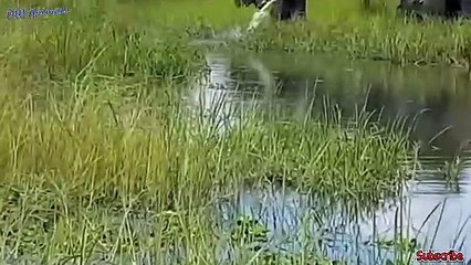 예산출장서비스 예산출장서비스O1OE6579E3382｛카톡VS67｝ 예산출장마사지샵 예산출장안마on예산출장안마cos여3♪⇔∃마사지황형♥≋≪