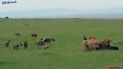 양양출장서비스 양양출장서비스O1Og2154g6609｛카톡VPN58｝ 양양출장마사지샵 양양출장안마on양양출장안마cos여3♪⇔∃마사지황형♥◪≪