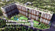 Marbella Grand | 3BHK & 4BHK Ultra Luxurious Property For Sale in Mohali | 1800212828282