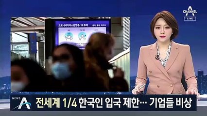 세계 4분의1이 한국인 입국 제한…한국 기업들도 비상