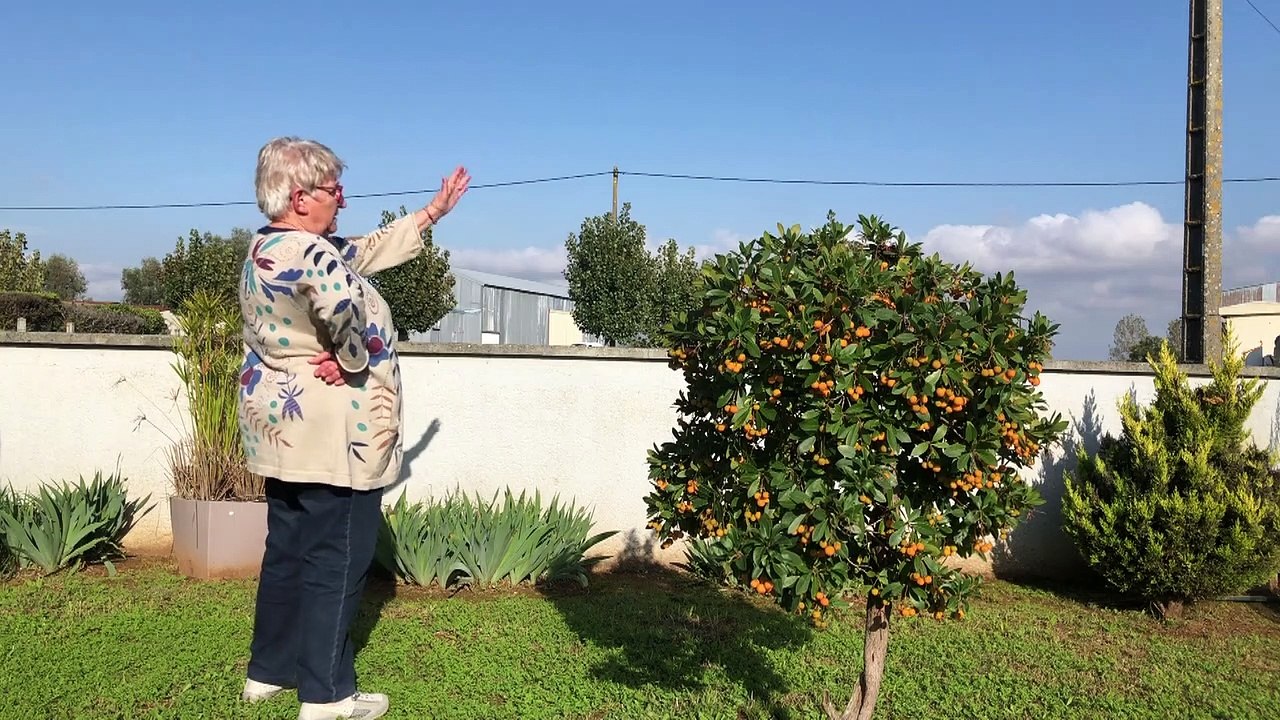 'Xynthia': Frankreich 10 Jahre nach dem Orkan