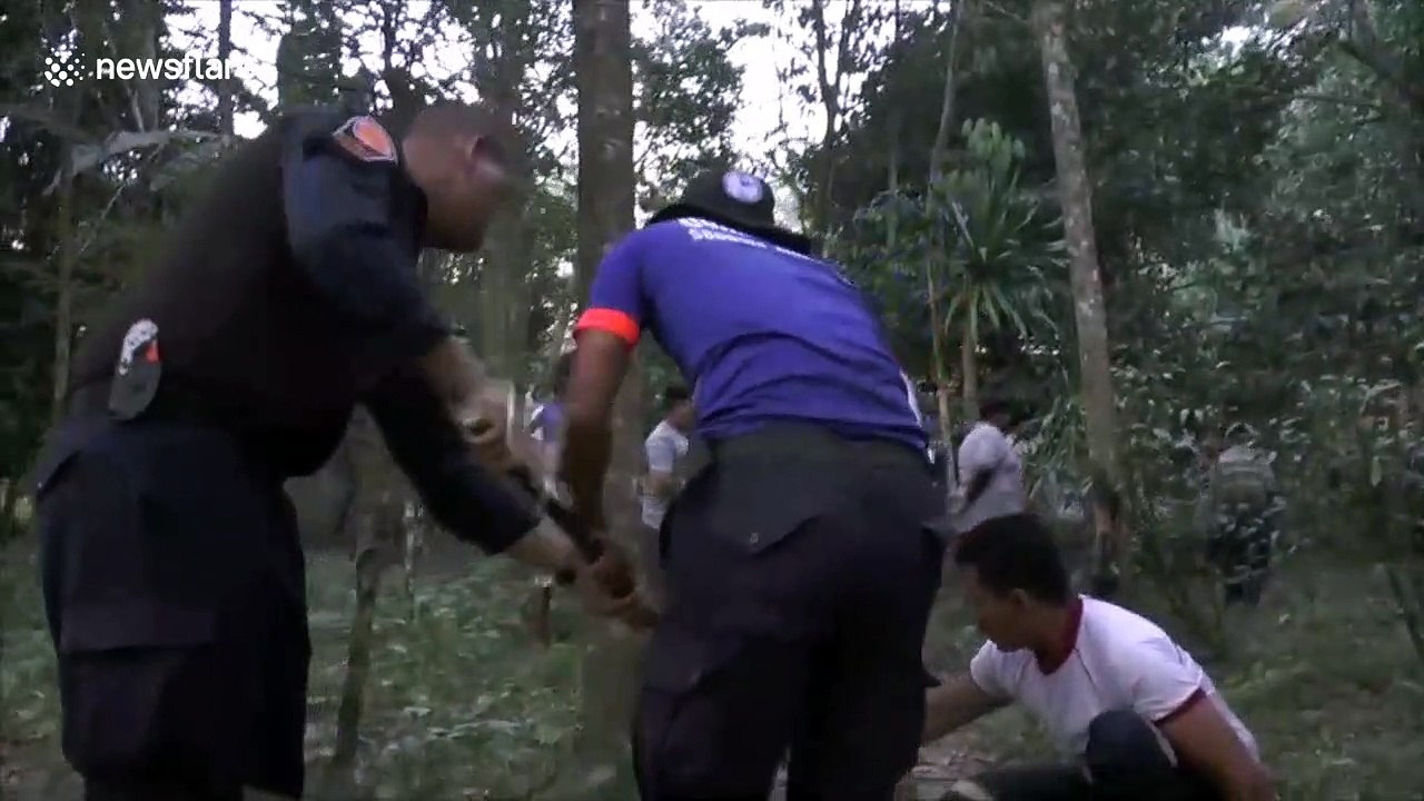 Huge king cobra caught after visiting pregnant Thai woman 'to protect her baby'