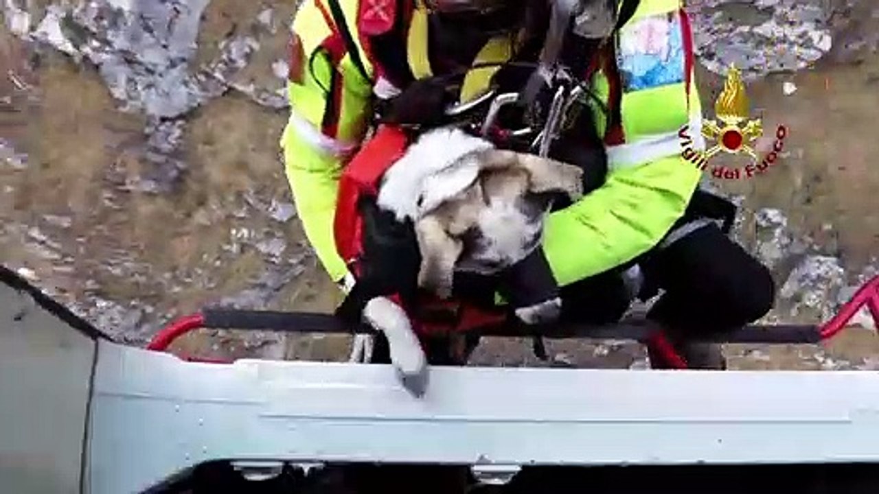 Lecco - Donna e il suo cane salvati sul Monte Moregallo (28.02.20)
