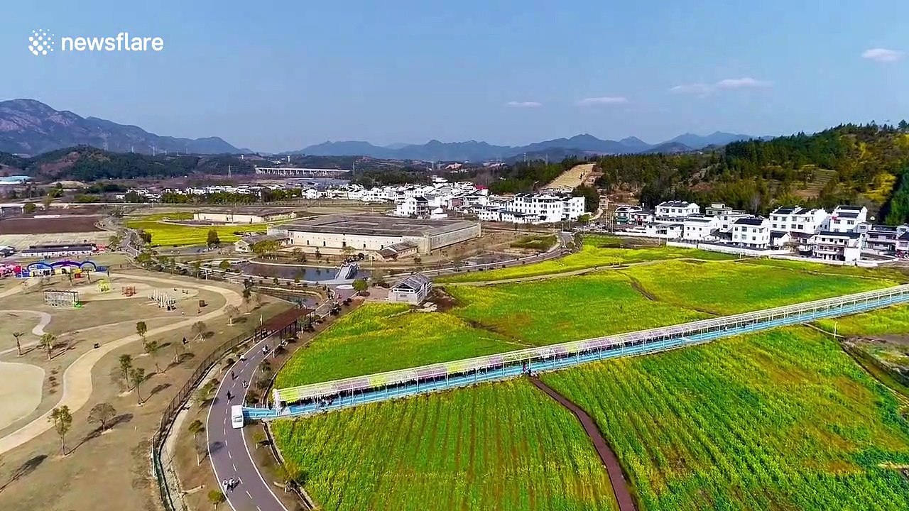 Tourists visit blooming rapeseed flowers after the scenic spot reopens in China