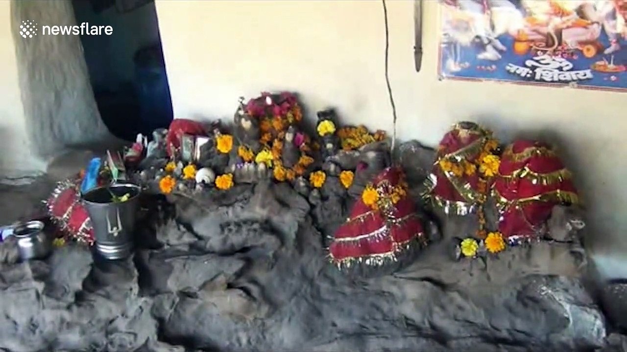 Hermit in India is able to call bears to him with Hindu chants