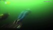 Russian Freediver Sets Record for Longest Swimming Distance in a Single Breath!