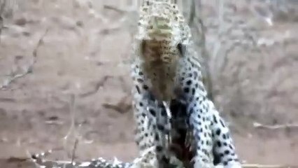 창원추천업소【OI0↔29O8↔68O③】창원추천업소예약♥≫≪