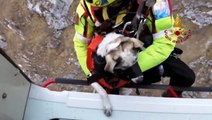 Helicopter rescues woman and dog from mountain
