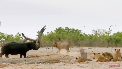 경기출장서비스 경기출장서비스O1Og2154g6609｛카톡VPN58｝ 경기출장마사지샵 경기출장안마on경기출장안마cos여3♪⇔∃마사지황형♥◑≪