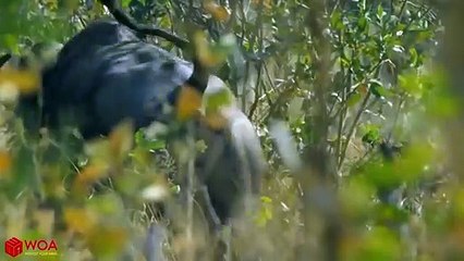 수원출장서비스 수원출장서비스O1Og2154g6609｛카톡MBN74｝ 수원출장마사지샵 수원출장안마on수원출장안마cos여3♪⇔∃마사지황형♥∱≪