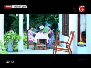 DW 799: Key Insights and Updates - thumbnail