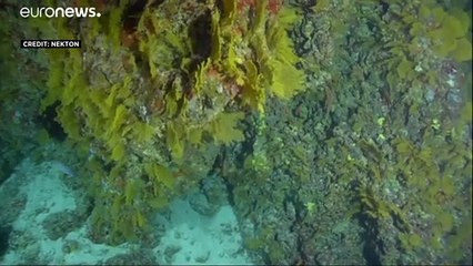 فوز وكالة أسوشيتد برس وشبكة سكاي بجائزة المجتمع الملكي للتلفزيون