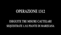 Bentivoglio (BO) - Sequestrata mega coltivazione di marijuana (28.02.20)