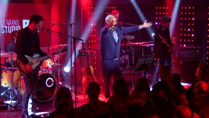 Louis Chedid - "Ainsi soit-il" (Live) - Le Grand Studio RTL