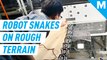 Stair-climbing robot snake is almost as agile as the IRL version