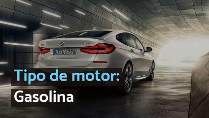 Características del BMW Serie 6 Gran Turismo (630i)