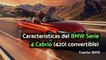 Características del BMW Serie 4 Cabrio (420i convertible)