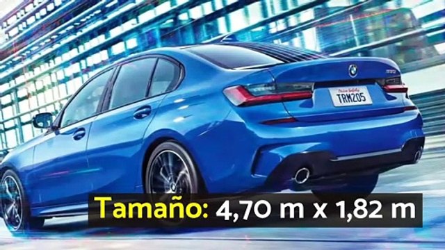 Características del BMW Serie 3 (330i Berlina)