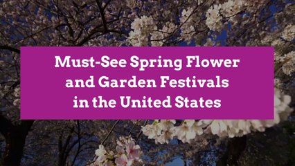 Must-See Spring Flower and Garden Festivals in the United States