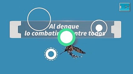 En La Plata, al dengue lo combatimos entre todos