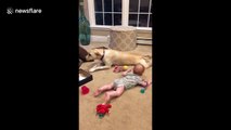 Hilarious moment a dog in New Jersey teaches baby how to crawl
