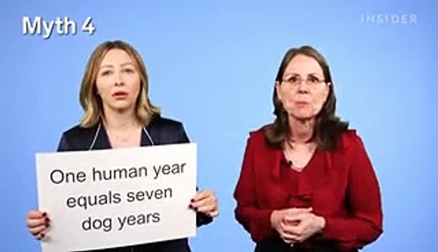 Veterinarians debunk 15 dog myths