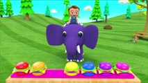 Learn Colors With Animal - Colors for Children to Learn with Cartoon Dolphins Color Water 3D Kids Toddler Babies Learn Colors