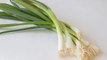 Scallions vs. Green Onions: What's the Difference?