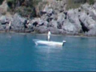 Werner Herzog's Grizzly Man in 60 seconds