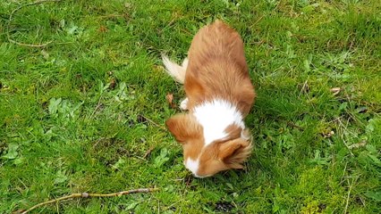 Heureux de jouer au camion cross