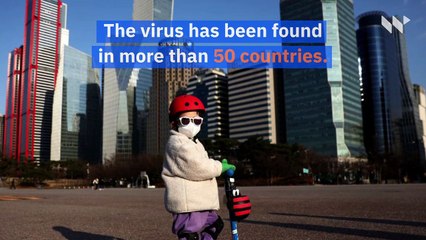 WHO Declares Risk of Coronavirus Is 'Very High at a Global Level'