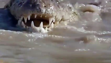 담양출장서비스 담양출장서비스O1Og2143g9131｛카톡UOM7｝ 담양출장마사지샵 담양출장안마on담양출장안마cos여3♪⇔∃마사지황형♥◨≪