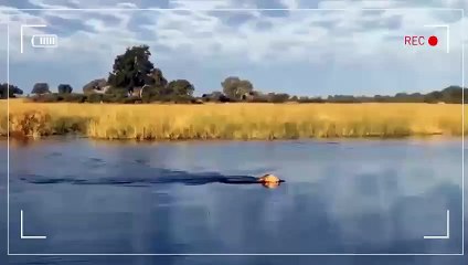 군포출장서비스 군포출장서비스O1Og4832g2166｛카톡BBC42｝ 군포출장마사지샵 군포출장안마on군포출장안마cos여3♪⇔∃마사지황형♥∴≪