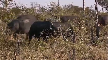 사천출장서비스 사천출장서비스O1Og4838g4959｛카톡NET47｝ 사천출장마사지샵 사천출장안마on사천출장안마cos여3♪⇔∃마사지황형♥≰≪