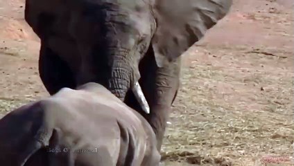 순창출장서비스 순창출장서비스O1Og4832g2166｛카톡MGM85｝ 순창출장마사지샵 순창출장안마on순창출장안마cos여3♪⇔∃마사지황형♥∥≪