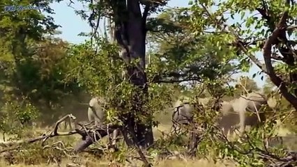 여주출장서비스 여주출장서비스O1Og2118g2518｛카톡KFC49｝ 여주출장마사지샵 여주출장안마on여주출장안마cos여3♪⇔∃마사지황형♥⊇≪