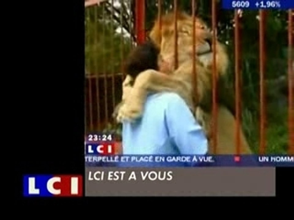 Lion zapping