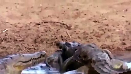 태종대추천업소【OI0↔29O8↔68O③】태종대추천업소예약♥∧≪