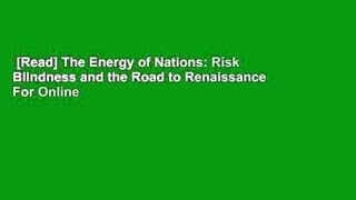 [Read] The Energy of Nations: Risk Blindness and the Road to Renaissance  For Online