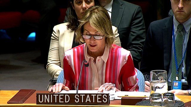 Idlib: UN holds emergency session after Turkish troops killed