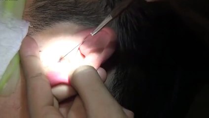 강원출장서비스 강원출장서비스O1Og2154g6609｛카톡MBN74｝ 강원출장마사지샵 강원출장안마on강원출장안마cos여3♪⇔∃마사지황형♥◯≪